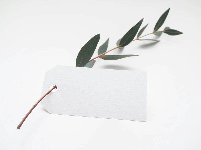 A photo-1494537176433-7a3c4ef2046f RFID tag attached to a branch with green leaves against a plain white background.